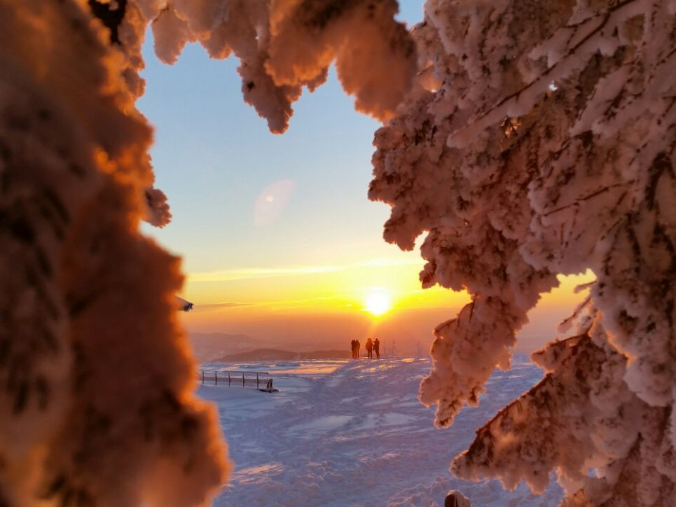                                                     Schneelandschaft auf der Hornisgrinde                                    